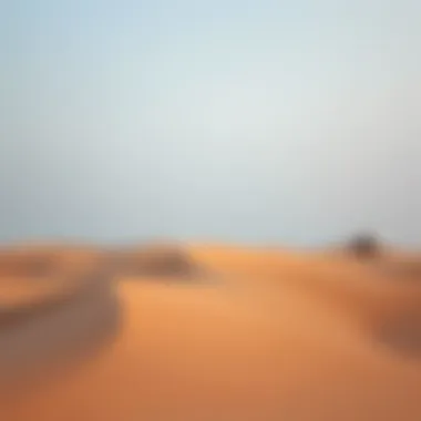 Magnificent Exploring the Majestic Dunes of the UAE Magnificent Exploring the Majestic Dunes of the UAE