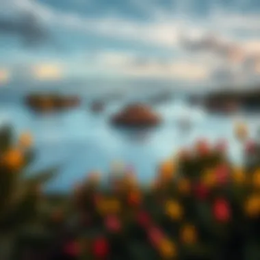 Magnificent Exploring the World's Lagoons: A Comprehensive Insight