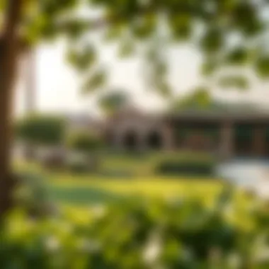 Community Green Spaces in Century Village Lush green spaces and community areas designed for relaxation