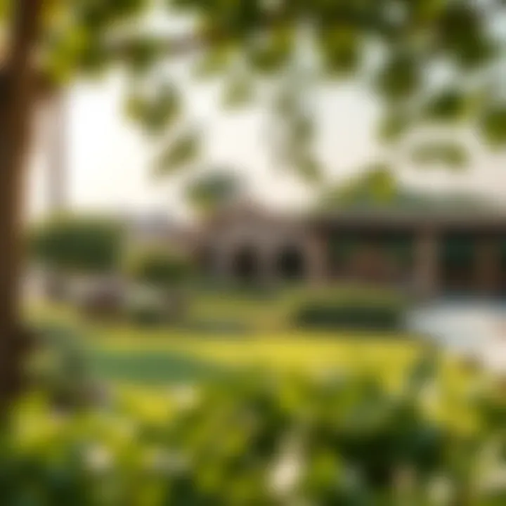 Community Green Spaces in Century Village Lush green spaces and community areas designed for relaxation