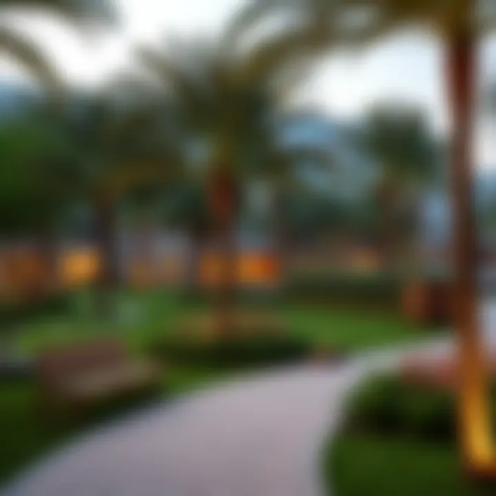 Green parks and recreational spaces in Emaar South