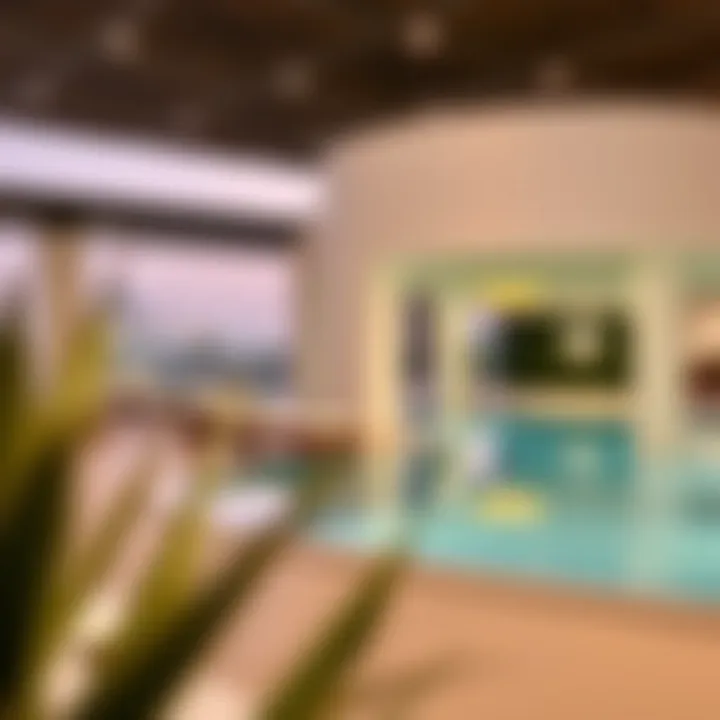 Exclusive Amenities in Al Badaa Luxurious amenities at Al Badaa