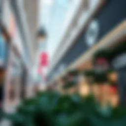 Exploring Cedre Shopping Centre: A Comprehensive Overview Introduction