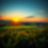 Stunning view of the Arabian Ranches golf course at sunset