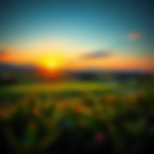 Breathtaking Sunset at Arabian Ranches Golf Course Stunning view of the Arabian Ranches golf course at sunset