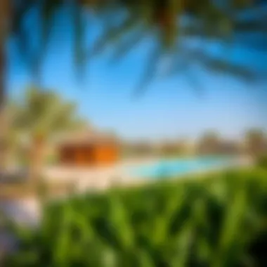 Community amenities and recreational areas in Jebel Ali