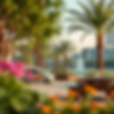 Amenities in Nasma Central Park Community amenities and recreational facilities in Nasma Central Park