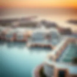 Stunning aerial view of Palm Jumeirah mansions showcasing unique architectural designs
