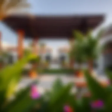 Community Life at Springs Villas Vibrant community spaces in Springs Villas filled with greenery and recreational areas