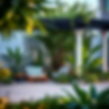 Serene Private Garden Oasis Private garden area enhancing the serene lifestyle of Jumeirah Island villas