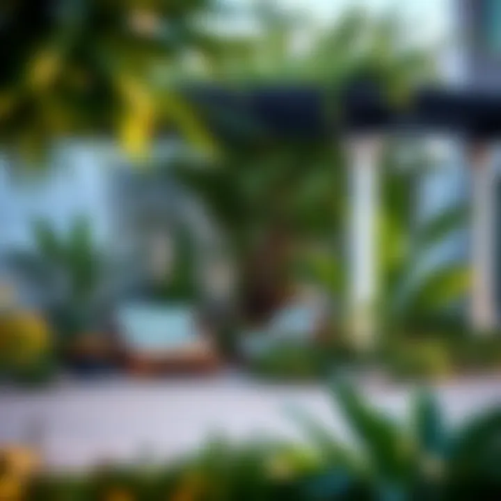 Serene Private Garden Oasis Private garden area enhancing the serene lifestyle of Jumeirah Island villas