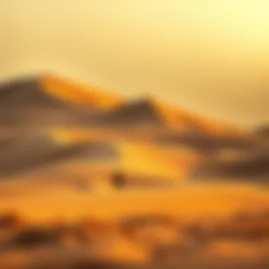 Notable Exploring the Majestic Dunes of the UAE