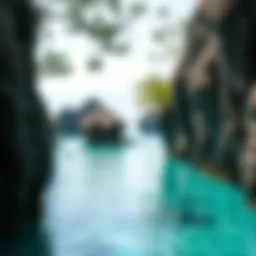 Exploring the World's Lagoons: A Comprehensive Insight Introduction