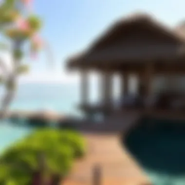 Notable Exploring the World's Lagoons: A Comprehensive Insight