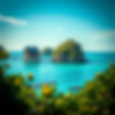 Exploring the World's Lagoons: A Comprehensive Insight Summary