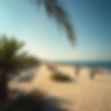 Hamriyah Beach: An Insightful Exploration Summary Hamriyah Beach: An Insightful Exploration Summary