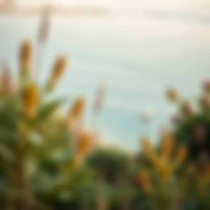 Ecological Diversity of Nurai Island Ecological diversity of Nurai Island with native flora and fauna