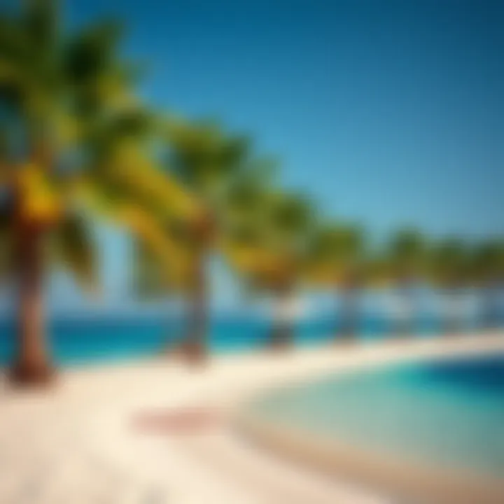 Vibrant beach scene with crystal clear waters and palm trees on Palm Island.