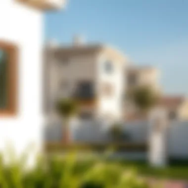 Exploring Ideal Neighborhoods for Villa Purchases A scenic neighborhood in the UAE ideal for villa buyers