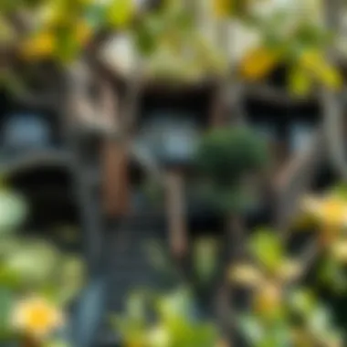 Architectural Innovation in Tree Houses Innovative architectural design of a modern tree house