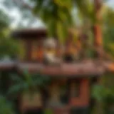 A luxurious tree house nestled among lush greenery in Dubai