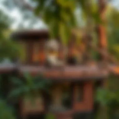 Luxurious Tree House in Dubai A luxurious tree house nestled among lush greenery in Dubai