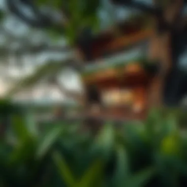 Market Insights on Tree House Investments Market analysis graphic showcasing tree house investments in Dubai