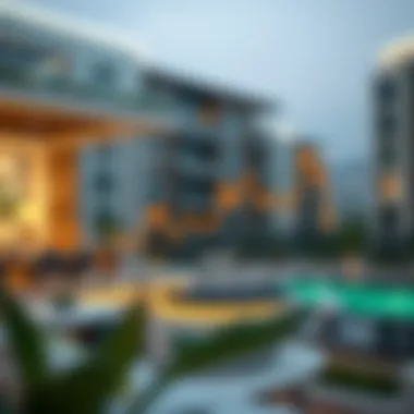 Trends in USD to AED Exchange Rates Graph illustrating US dollar to AED exchange rate trends