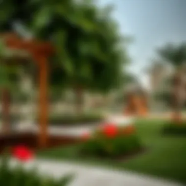 Recreational Spaces in Zahia Community Community park with recreational facilities in Zahia